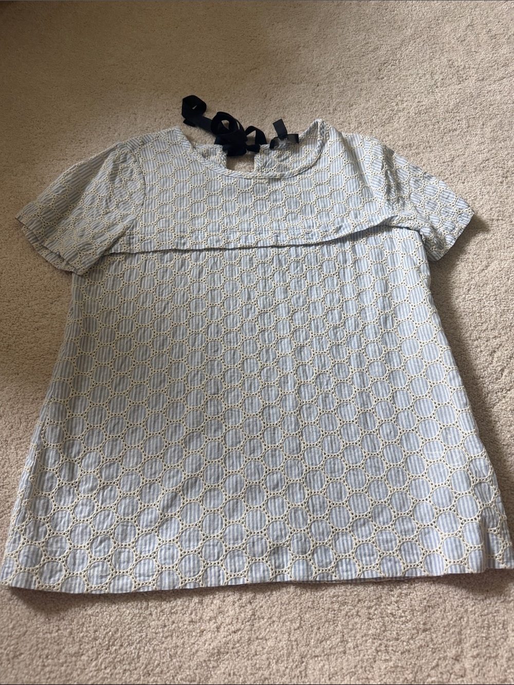J. Crew Light Blue and White Eyelet Short Sleeve Top